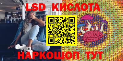 прущие грибы Ярославль
