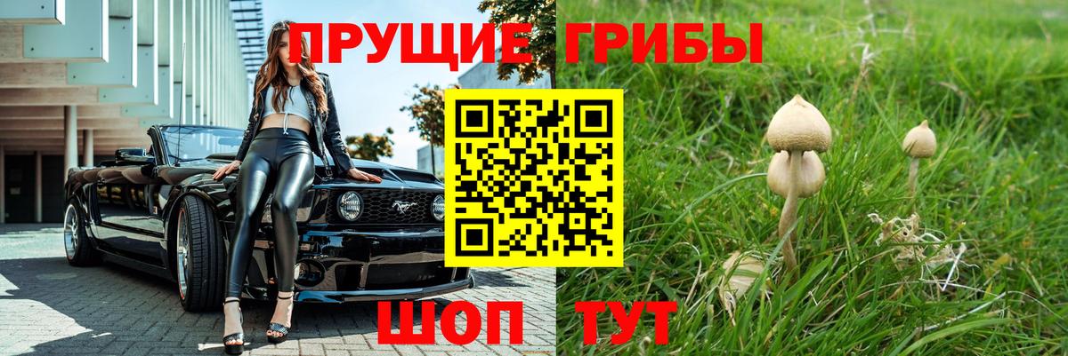 Галлюциногенные грибы Psilocybine cubensis Екатеринбург