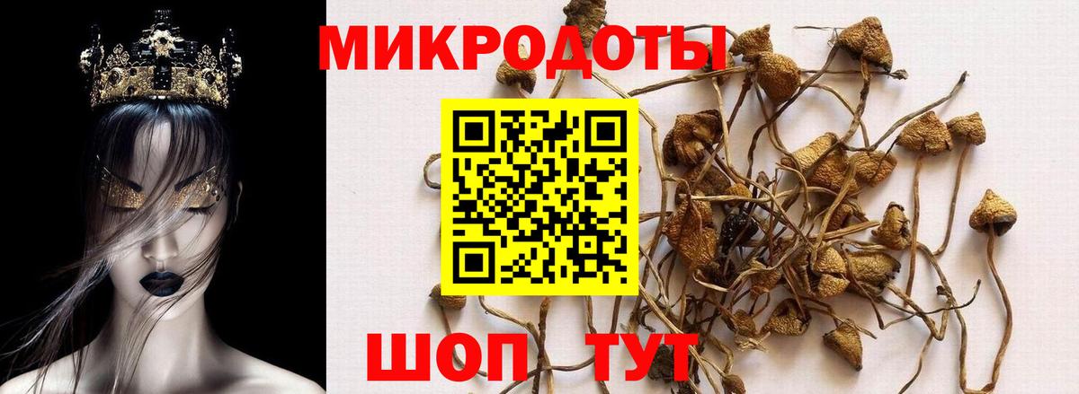 Екатеринбург  Псилоцибиновые грибы Magic Shrooms  Вход с VPN 